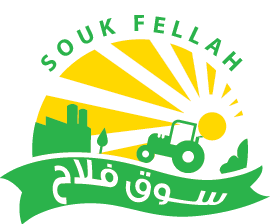 Souk Fellah